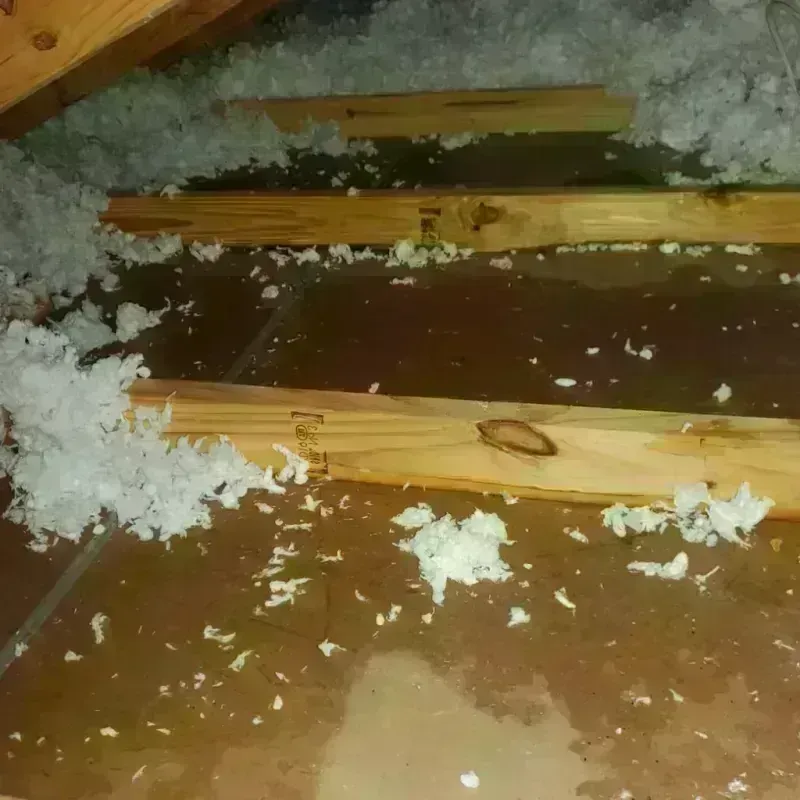 Attic Water Damage in Erin, TN